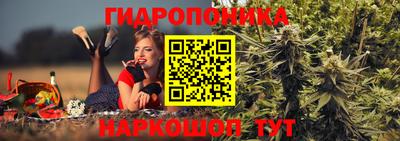 гидра Ливны