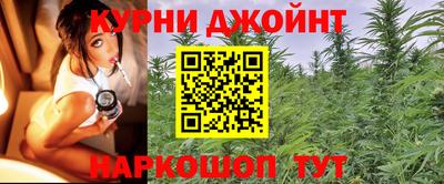 гидра Ливны
