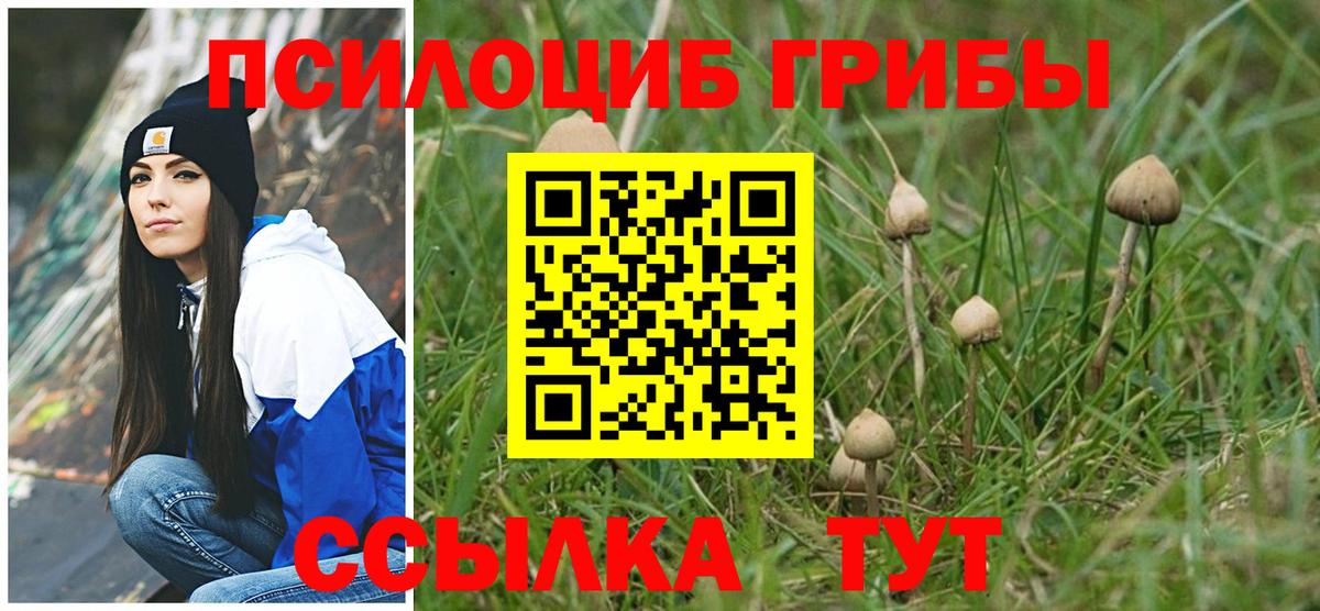 Псилоцибиновые грибы мухоморы Тосно