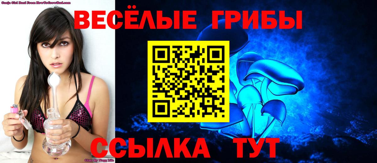 Тосно  Псилоцибиновые грибы GOLDEN TEACHER  хочу наркоту  Псилоцибиновые грибы ЛСД  Вход с VPN 